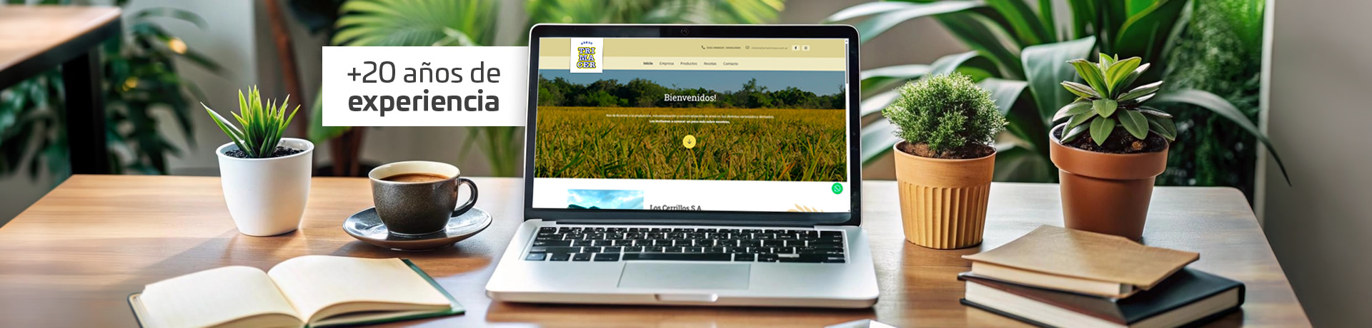 Desarrollamos tu web a medida